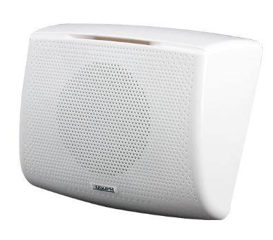 6W Wall Mount Speaker